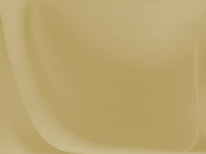 培训体系
